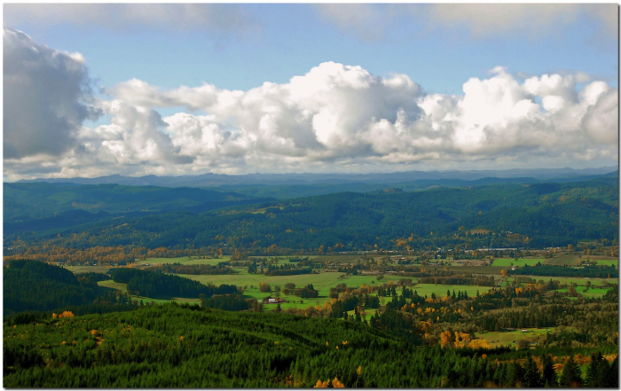 Oregon wine country